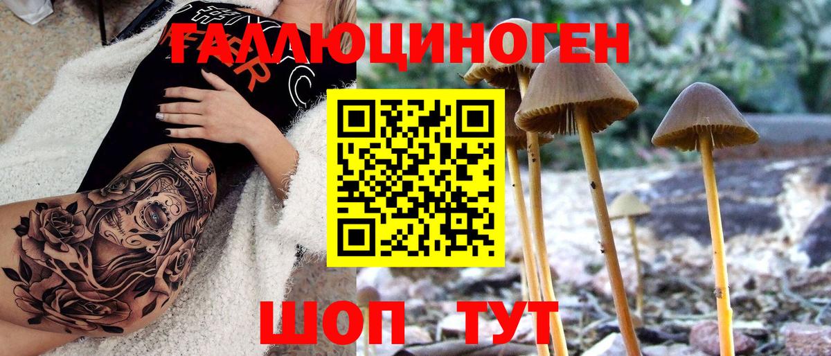 Галлюциногенные грибы Cubensis Воскресенск