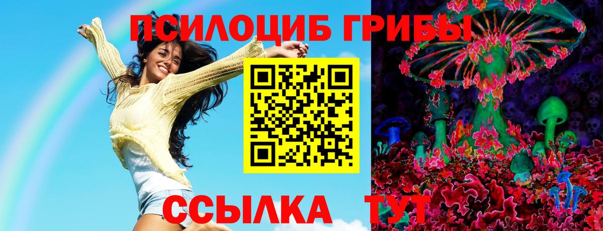 Псилоцибиновые грибы Psilocybine cubensis  Вход с VPN  Воскресенск 